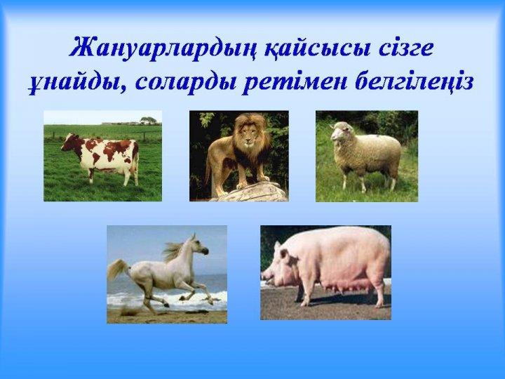 Тренинг сабақ