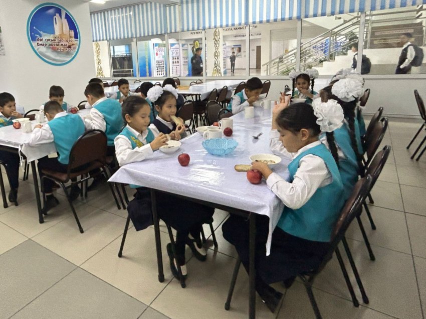 Тамақтандыру