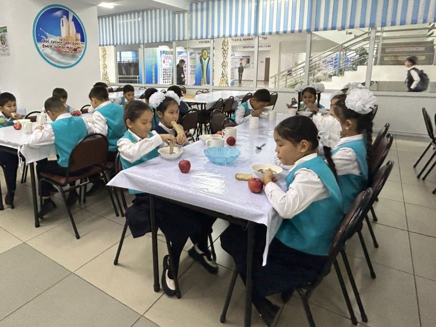 Тамақтандыру