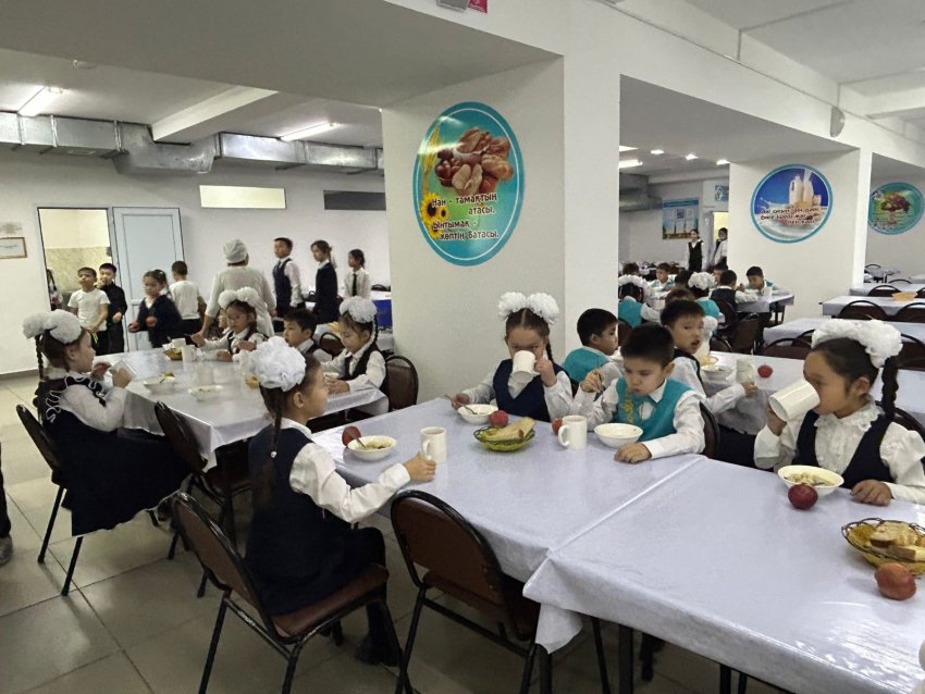 Тамақтандыру