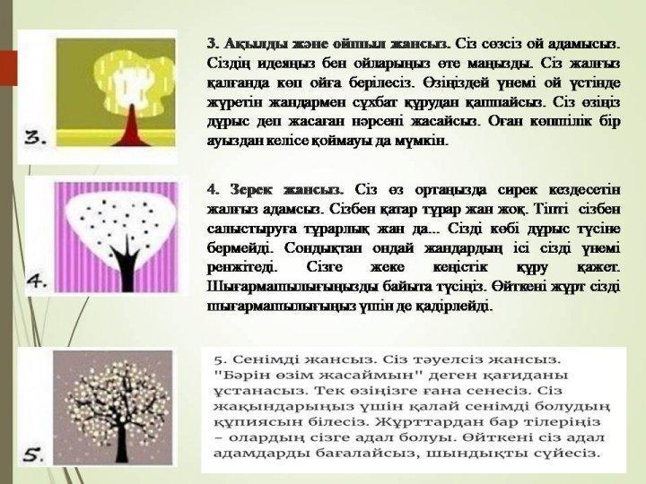 Қай ағашты таңдайсыз?